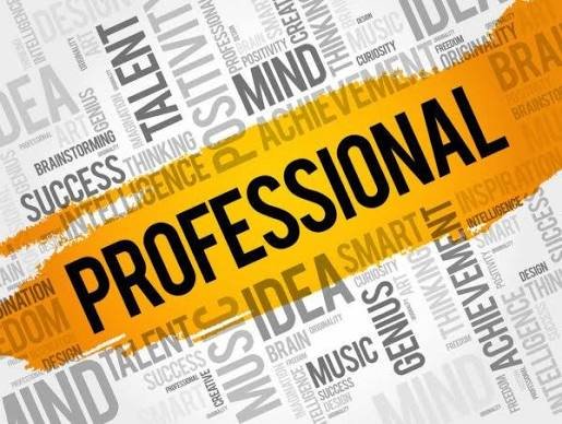 Professional Lead Generation
