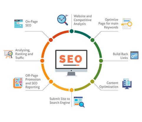 Professional Seo Services In India